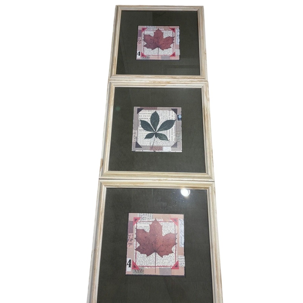 VTG Framed Leaf Wall Art Set of 3 Botanical Collage Prints Rustic‎ Decor Serene